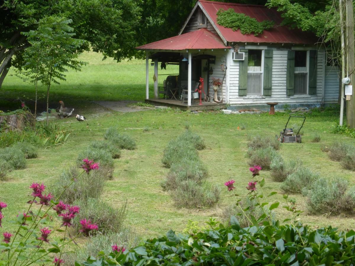 Mulberry Lavender Farm&B&B Exterior foto